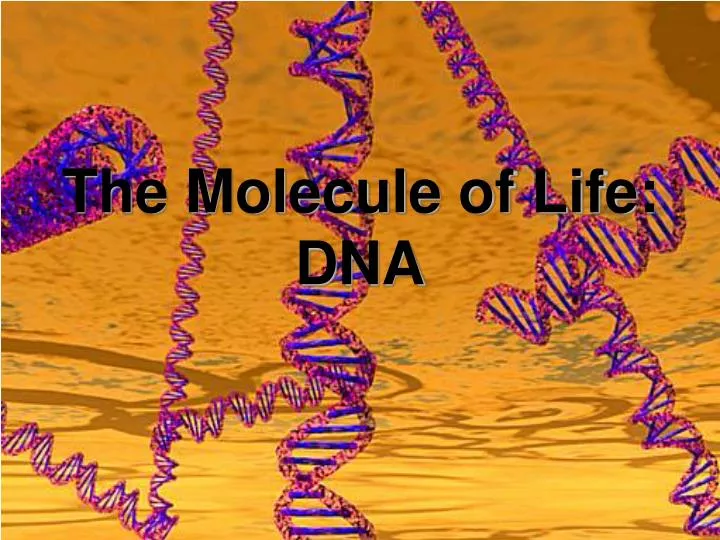the molecule of life dna n.