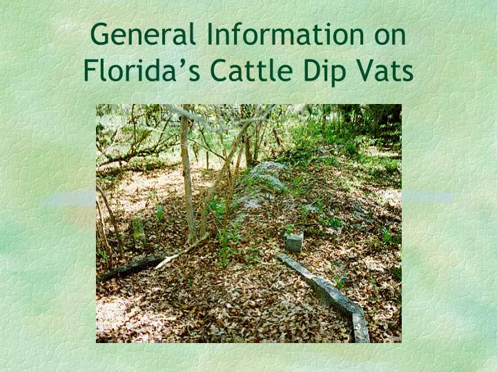 general information on florida s cattle dip vats n.