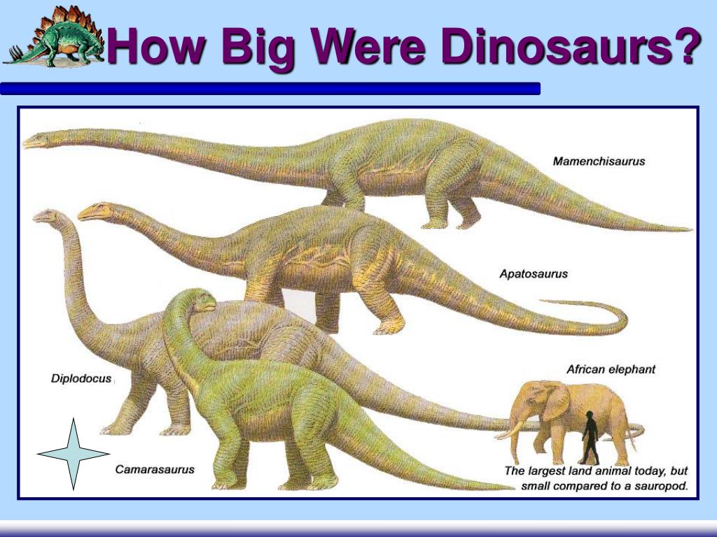 dinosaurs smallest to biggest