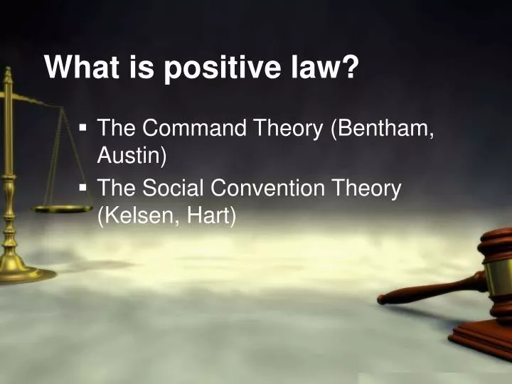 what is positive law n.