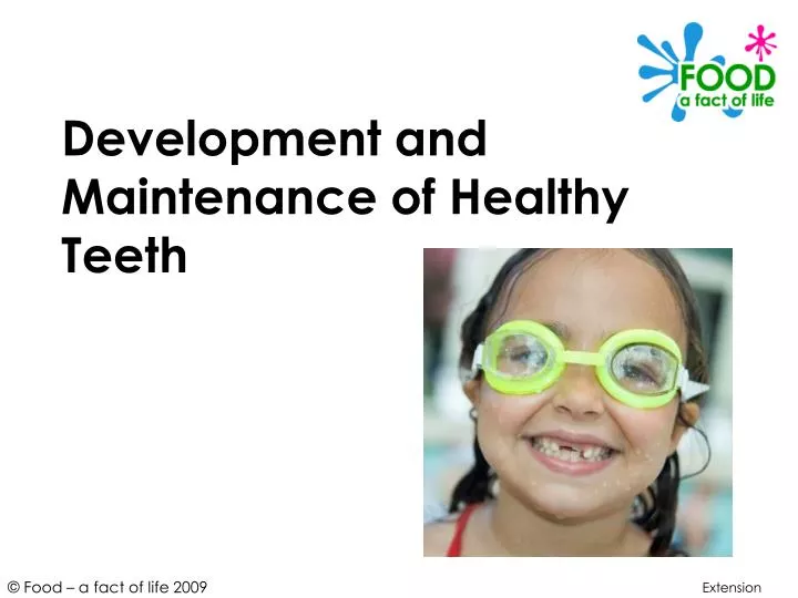 development and maintenance of healthy teeth n.