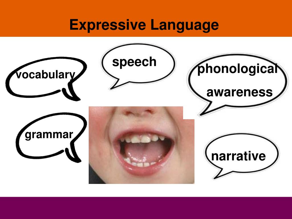 presentation on expressive language
