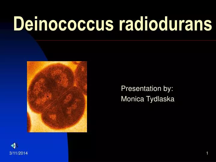 deinococcus radiodurans n.