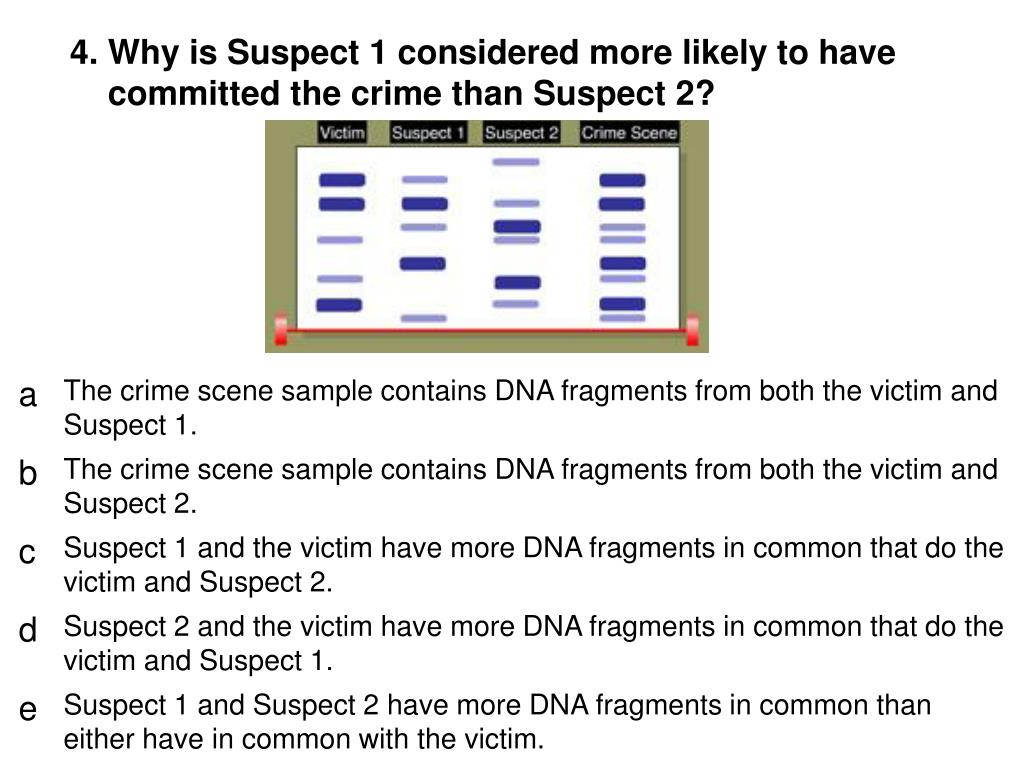 PPT DNA Technology PowerPoint Presentation, free download ID248256