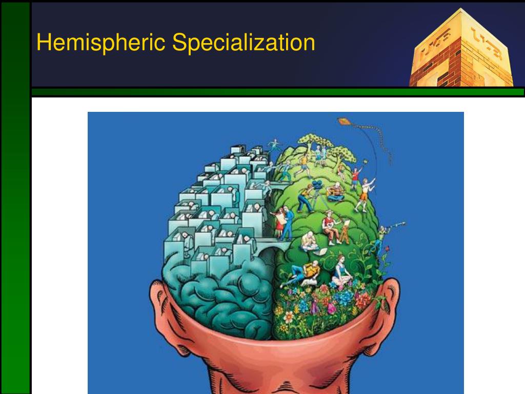 Higher Cognition PowerPoint Presentation, free download Biology Diagrams