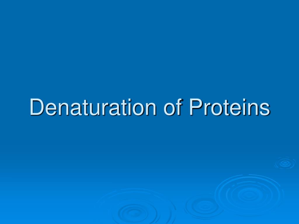denaturation of proteins use in lab Why is urea so good at denaturing proteins is coagulation and the denaturation of protein the same or if urea is so good at denaturing proteins. denaturation of proteins use in lab Why is urea so good at denaturing proteins is coagulation and the denaturation of protein the same or if urea is so good at denaturing proteins.