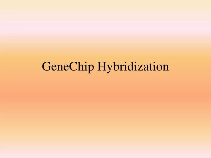 genechip hybridization n.