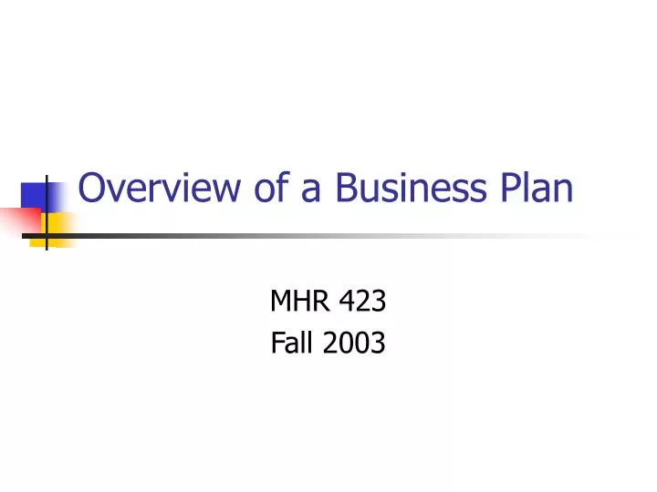 overview of a business plan n.