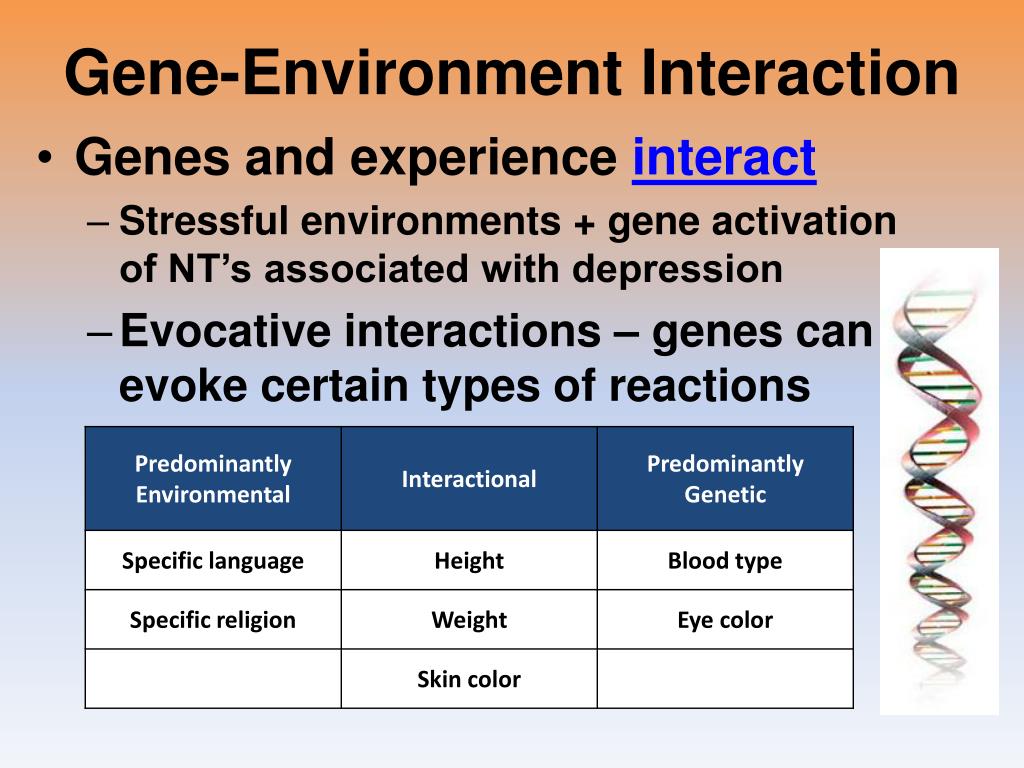 Interaction перевод. Gene interaction. Allelic Genes. Allelic interactions. Types of Genes.