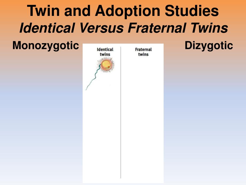dizygotic adoption twin genetics predicting differences behavior individual fraternal versus ppt powerpoint presentation monozygotic studies