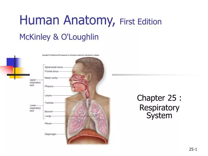 human anatomy  4th edition mckinley download free