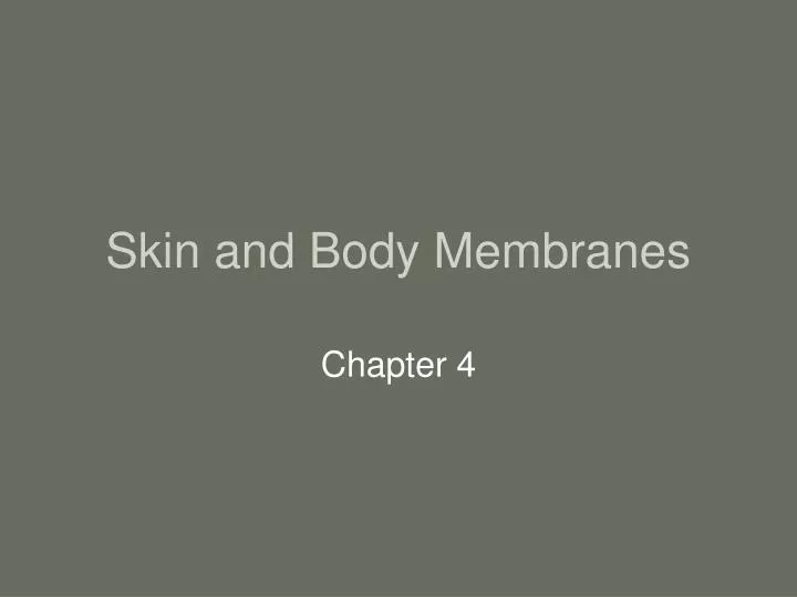 skin and body membranes n.