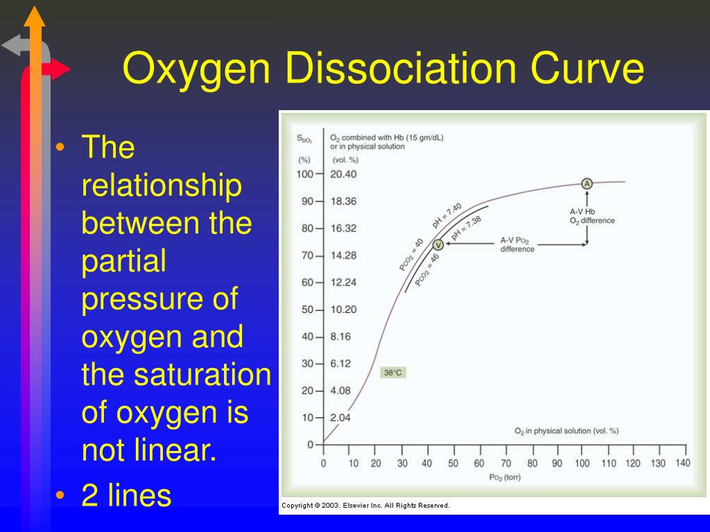 PPT Module G Oxygen Transport PowerPoint Presentation Free Download PPT Module G Oxygen Transport PowerPoint Presentation Free Download