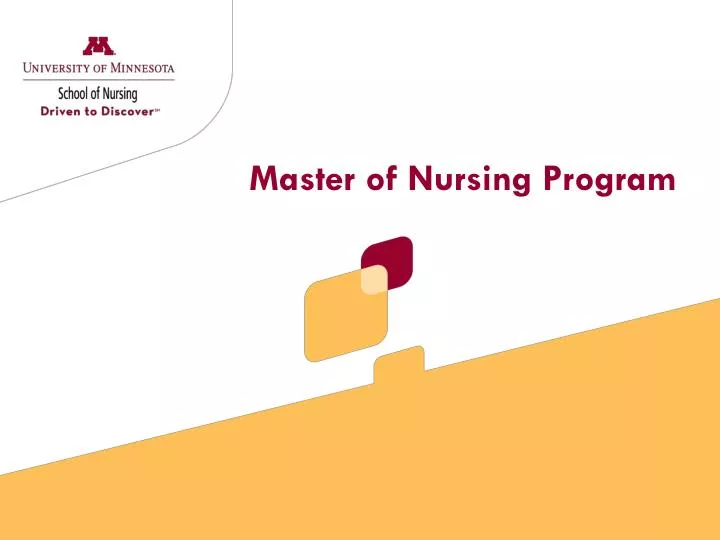 master of nursing program n.