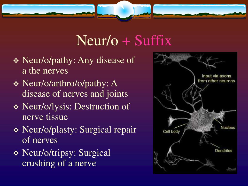 PPT Medical Terminology PowerPoint Presentation, free download ID251653