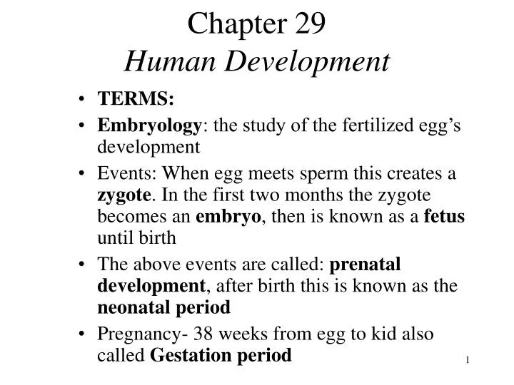 chapter 29 human development n.