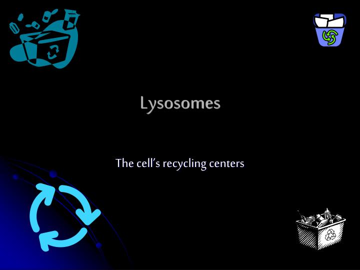 lysosomes n.