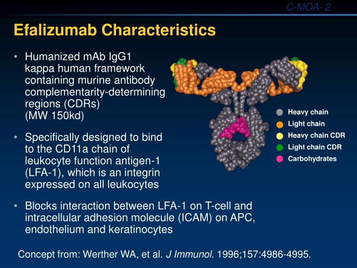 PPT - Efalizumab Mechanism of Action and Dose Determination PowerPoint  Presentation - ID:252922