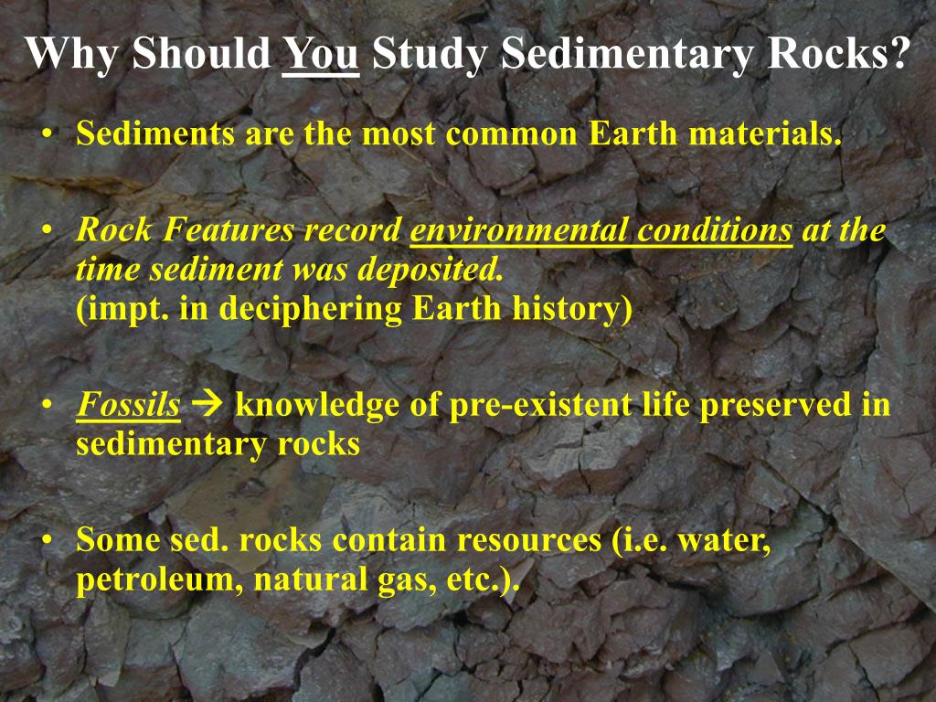PPT - Sedimentary Rocks PowerPoint Presentation, free download - ID:253482