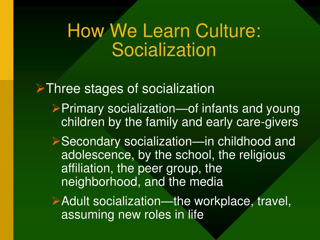 Culture and socialization
