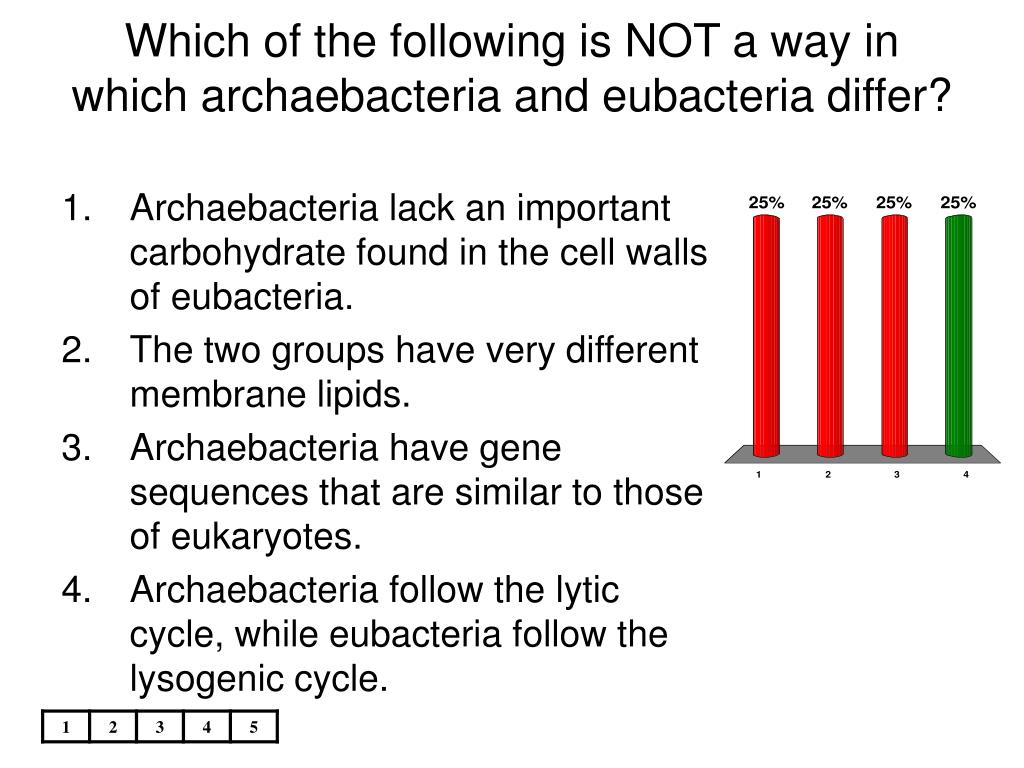 PPT Eubacteria and archaebacteria differ in PowerPoint Presentation