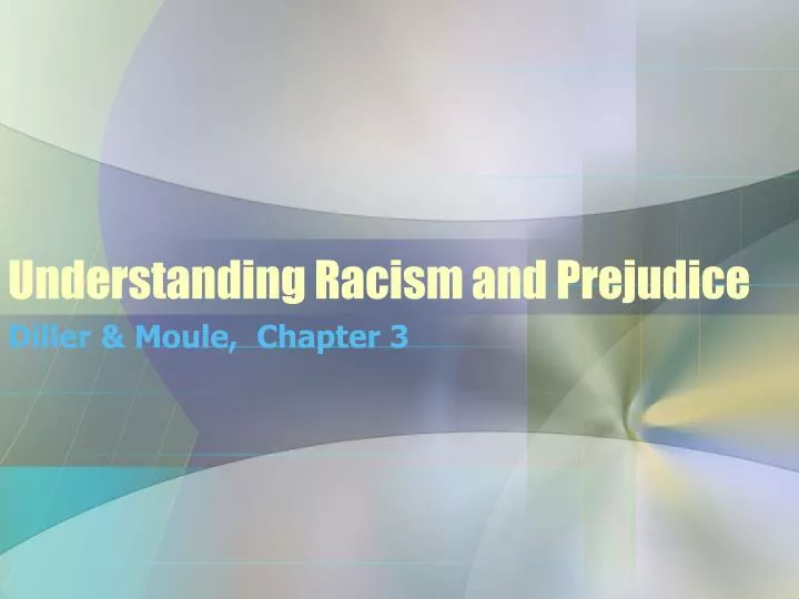 understanding racism and prejudice n.