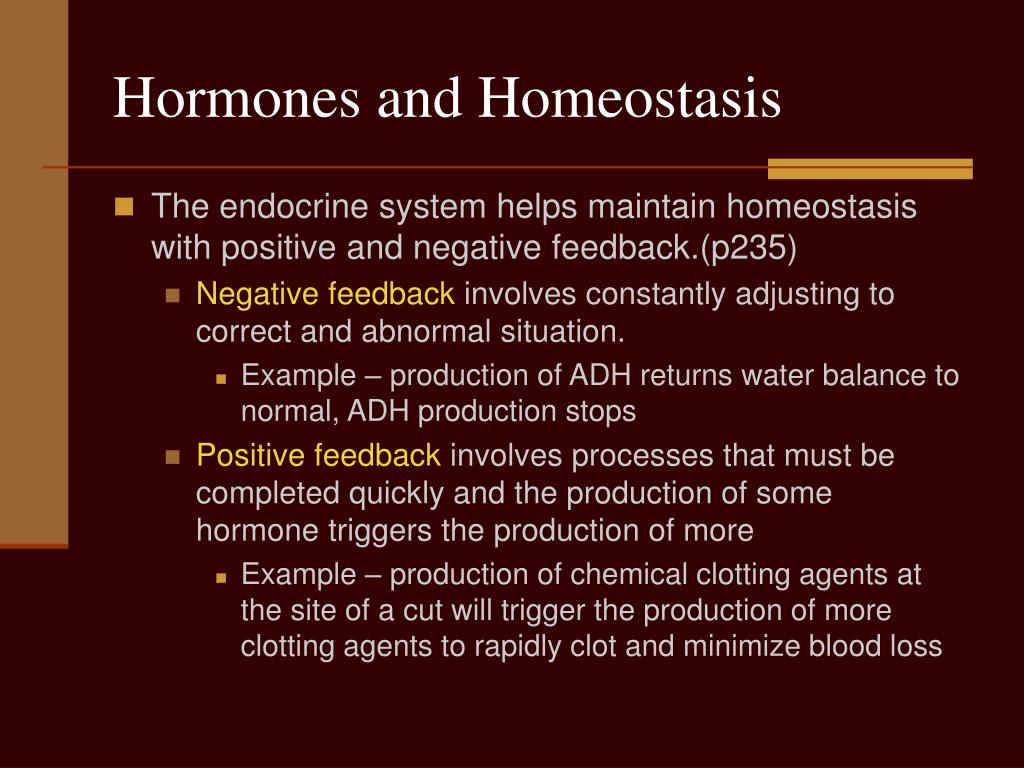 PPT - Diffusion and Osmosis in the Human Body PowerPoint Presentation