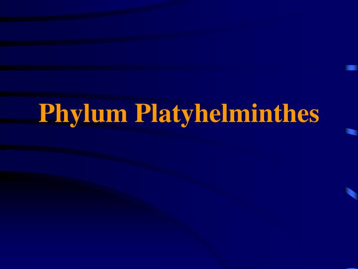 Viermii - PowerPoint PPT Presentation, Ppt platyhelminthes și nemathelminthes
