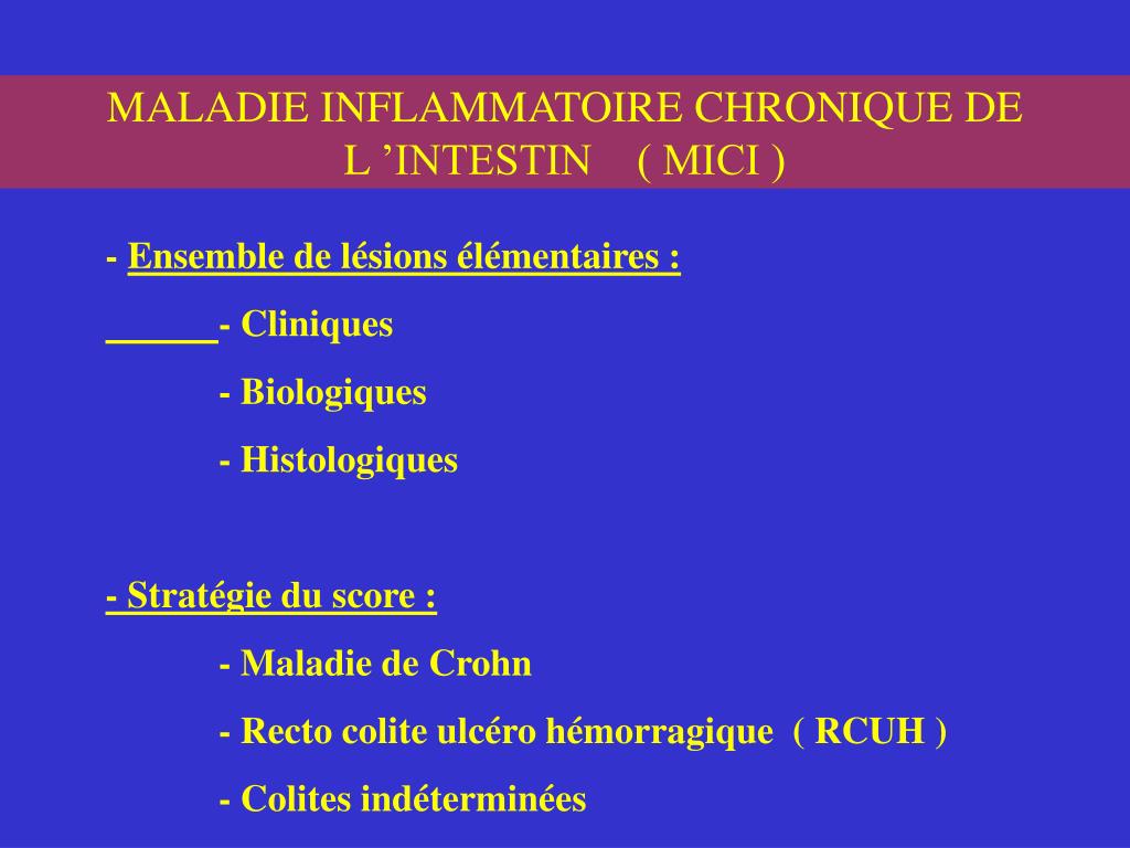 PPT  MALADIES INFLAMMATOIRES CHRONIQUES DE L ’INTESTIN PowerPoint
