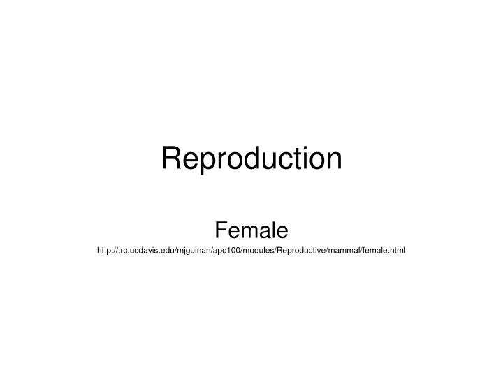 reproduction n.