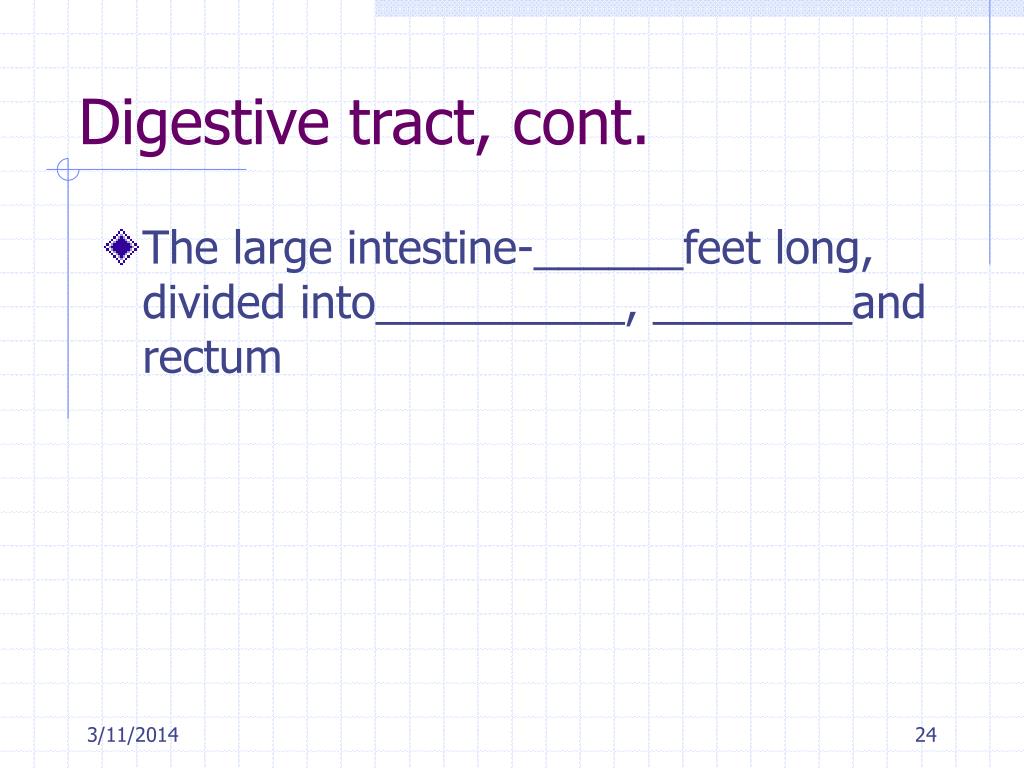 PPT - Modified Monogastric Digestive System PowerPoint Presentation