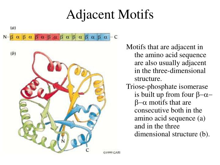PPT Secondary Structure Motifs of Proteins PowerPoint Presentation