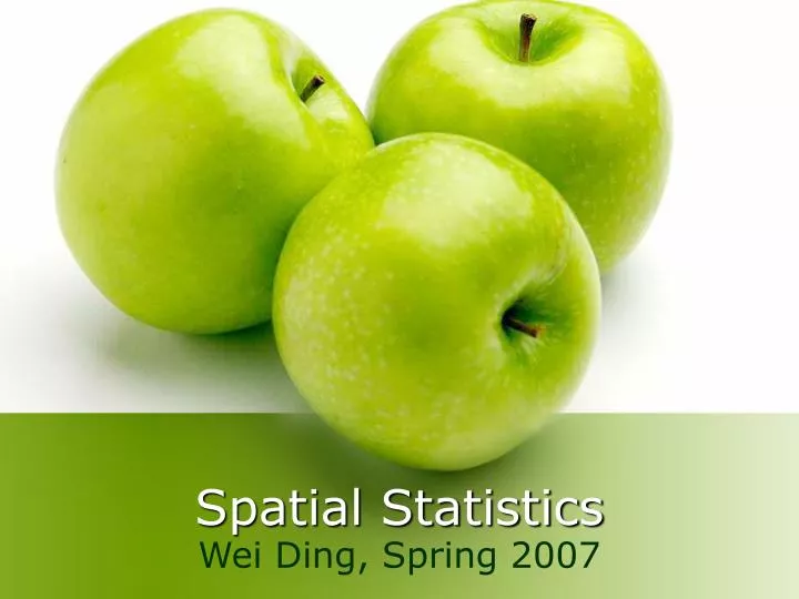 spatial statistics n.
