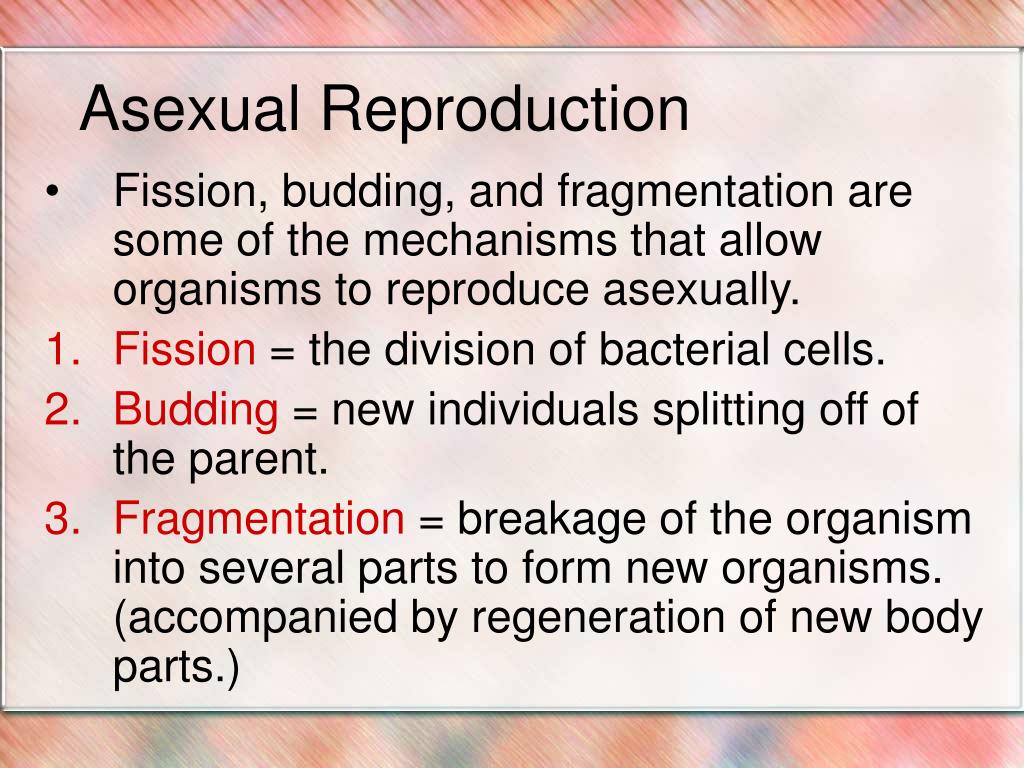 Reproduccion animal asexual
