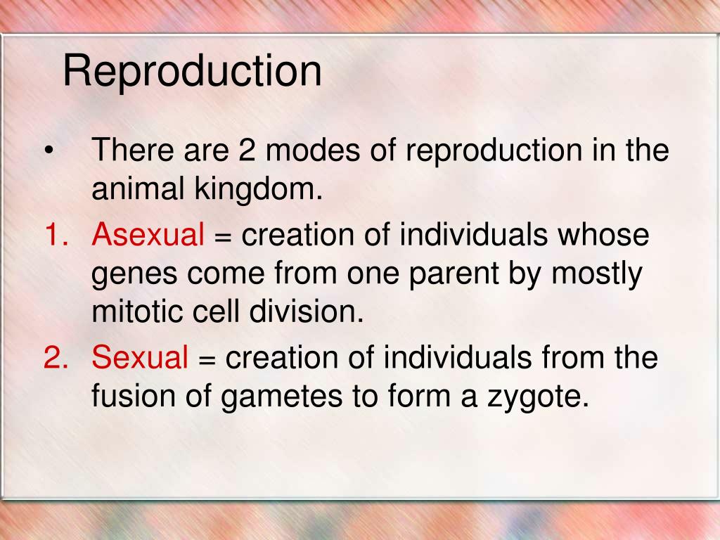 PPT - Animal Reproduction PowerPoint Presentation, free download - ID:259636