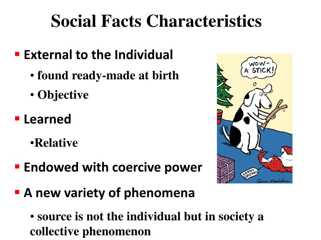 Rules in society. Social facts. Социал факт. Social Rules in Kazakhstan. What is social facts a book.