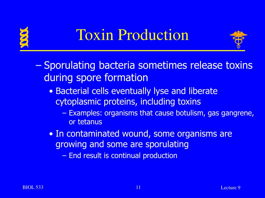 PPT - Bacterial Toxins PowerPoint Presentation, free download - ID:259835