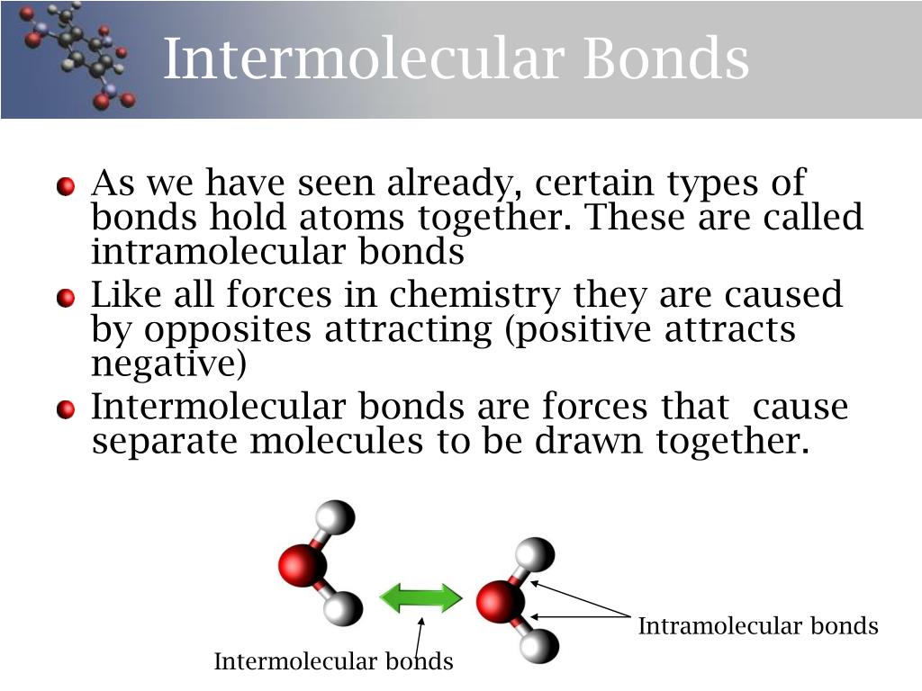 Intramolecular Forces