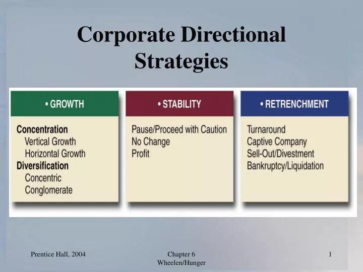 corporate directional strategies n.