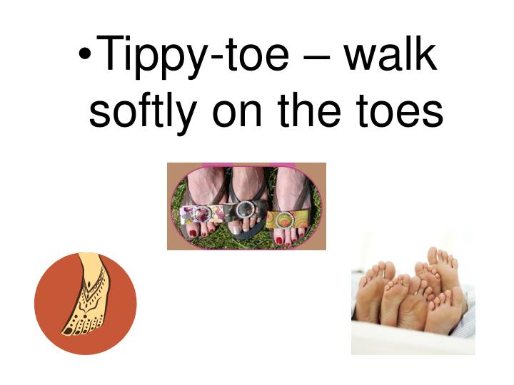 PPT TippyToe Chick, GO! Vocabulary Words PowerPoint Presentation