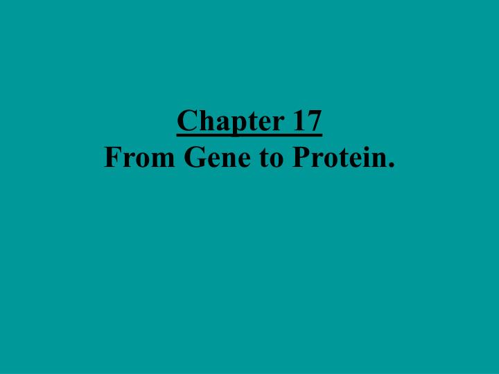 chapter 17 from gene to protein n.