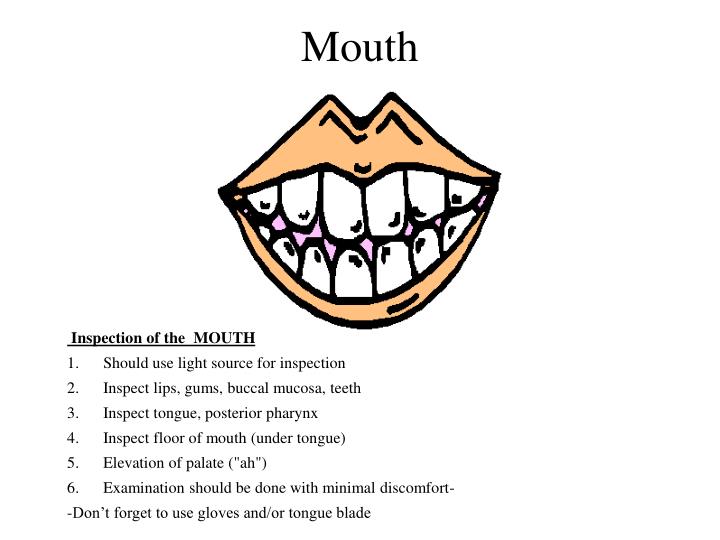 mouth n.