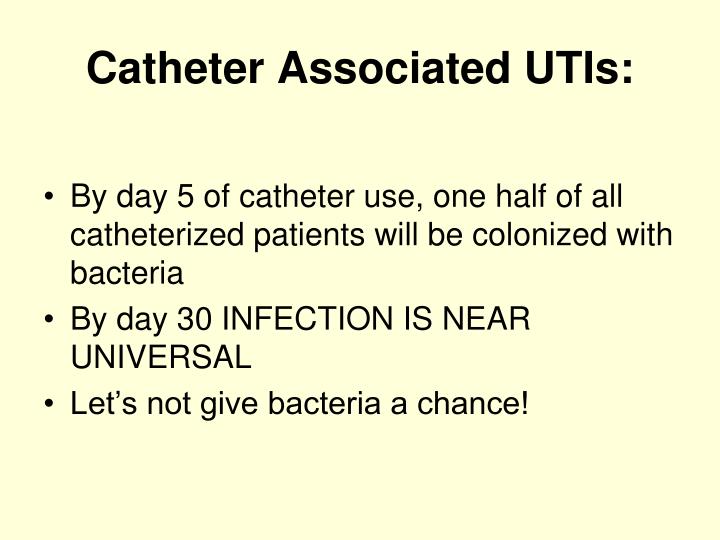 PPT - Urinary Catheter Updates PowerPoint Presentation - ID:263602