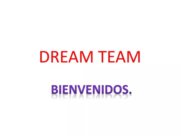 dream team n.