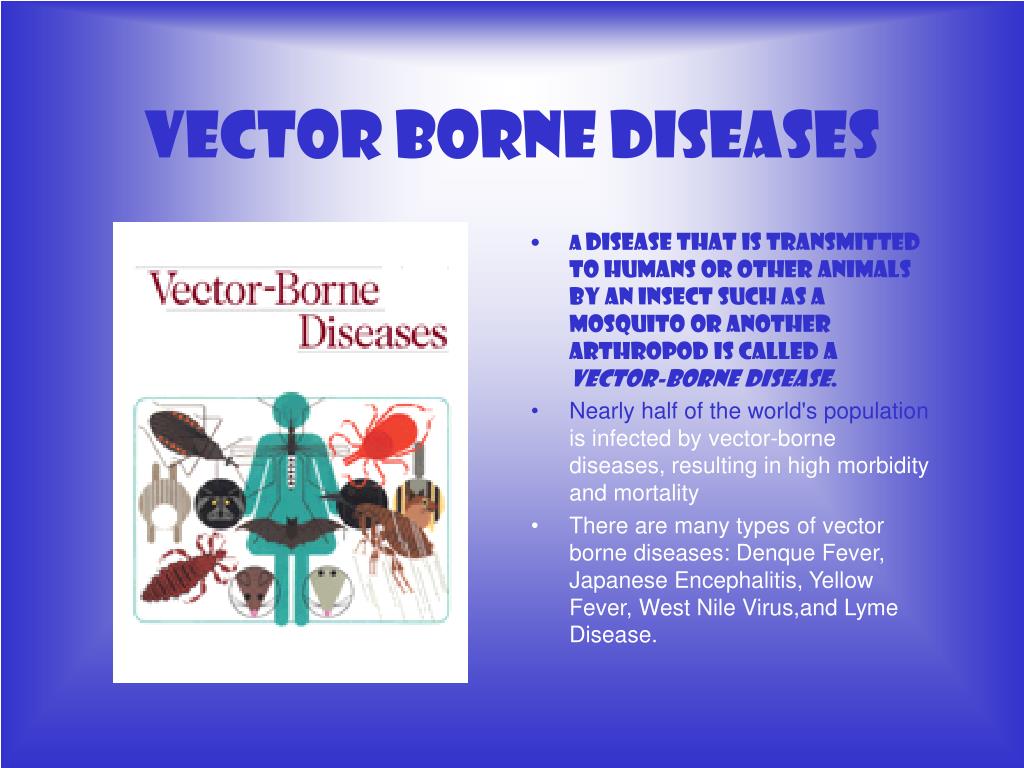 borne diseases presentation