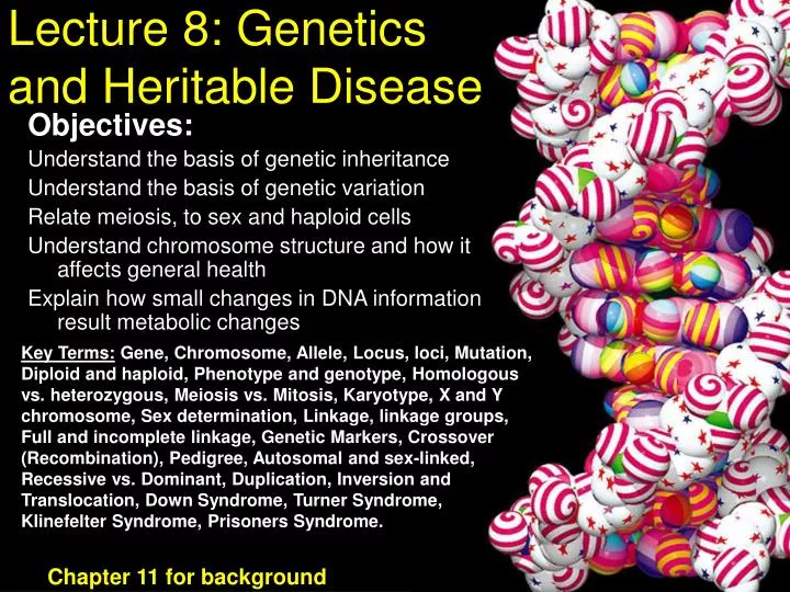 lecture 8 genetics and heritable disease n.