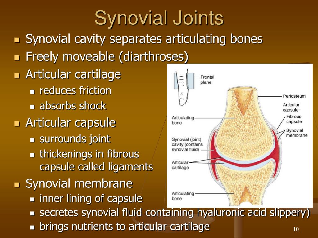 joint presentation meaning