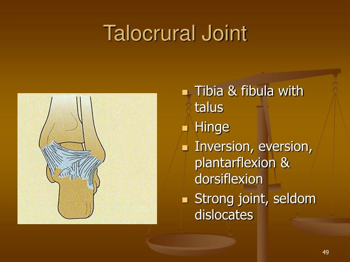 Talocrural Inversion/eversion Mobilization PPT - Chapter 9 Joints PowerPoint Presentation - ID:266616