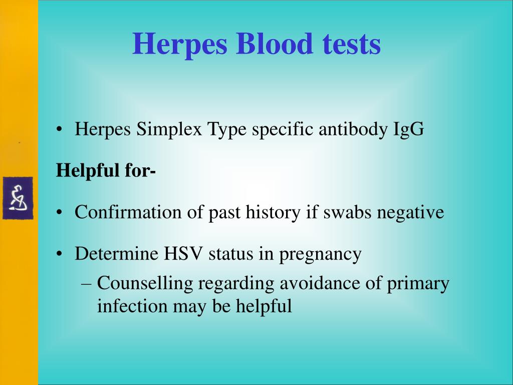 PPT HerpesDispelling the Myths PowerPoint Presentation