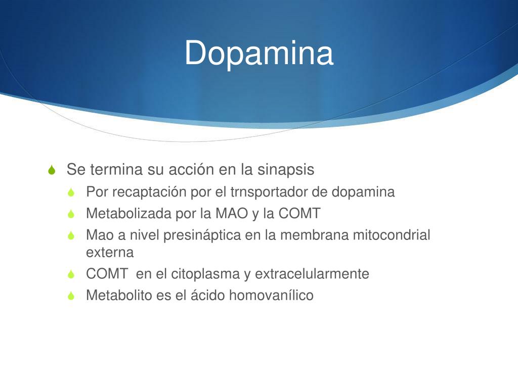 PPT - Neurofisiología de la conducta PowerPoint Presentation, free ...